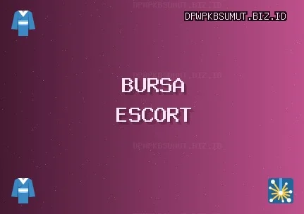 Bursa Escort: İnegöl Escort, Gürsu Escort, Gemlik Escort